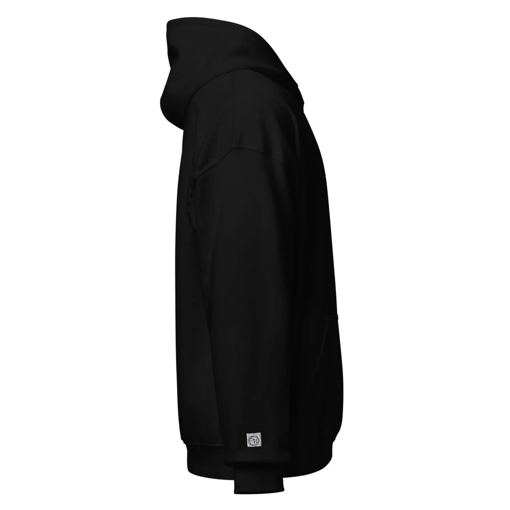 Unisex Heavy Blend Hoodie (1)